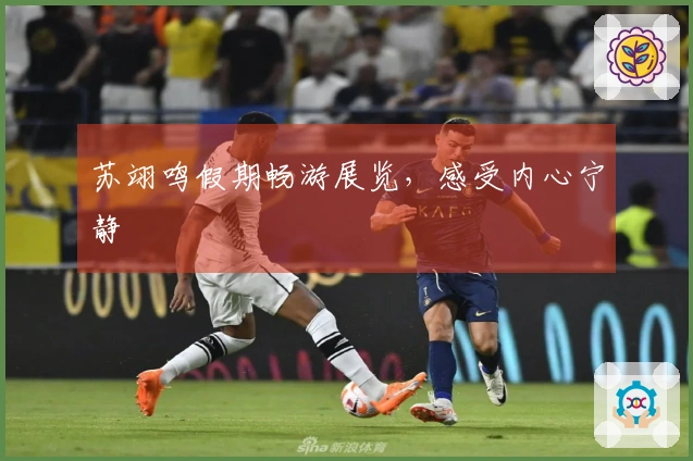 苏翊鸣假期畅游展览，感受内心宁静