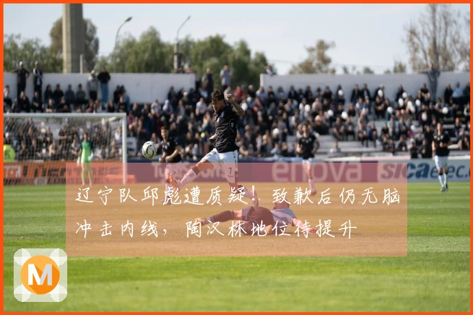 辽宁队邱彪遭质疑！致歉后仍无脑冲击内线，陶汉林地位待提升