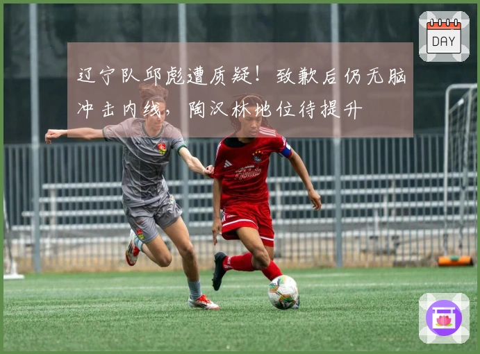 辽宁队邱彪遭质疑！致歉后仍无脑冲击内线，陶汉林地位待提升