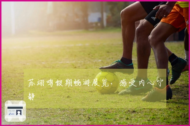 苏翊鸣假期畅游展览，感受内心宁静