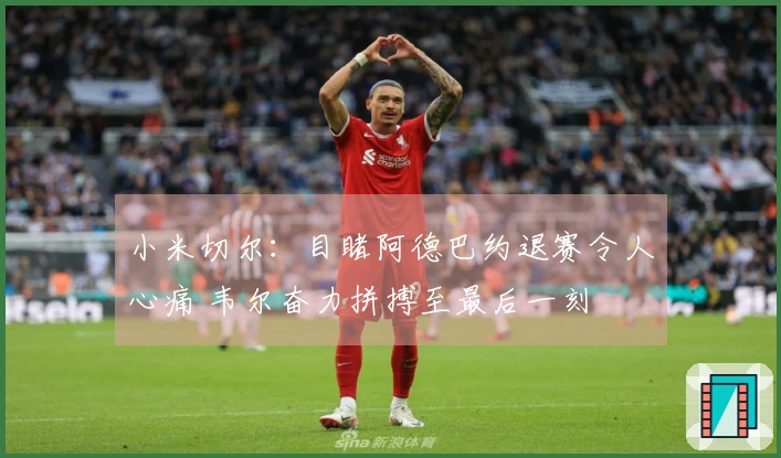 小米切尔：目睹阿德巴约退赛令人心痛 韦尔奋力拼搏至最后一刻