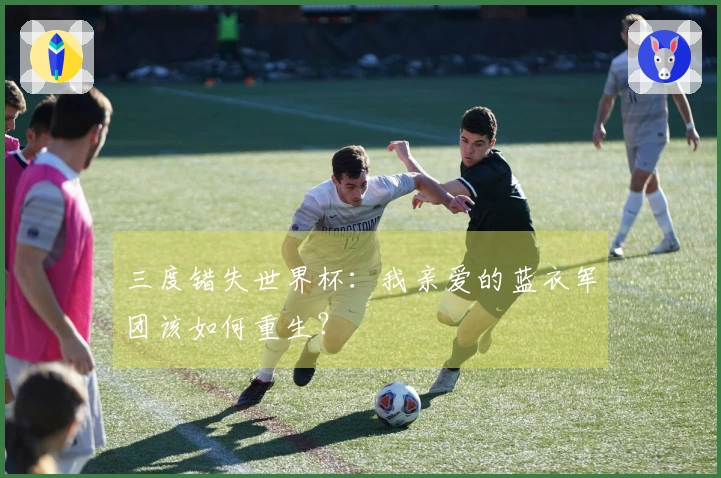 三度错失世界杯：我亲爱的蓝衣军团该如何重生？
