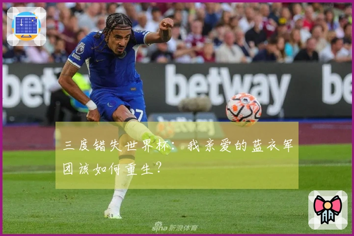 三度错失世界杯：我亲爱的蓝衣军团该如何重生？