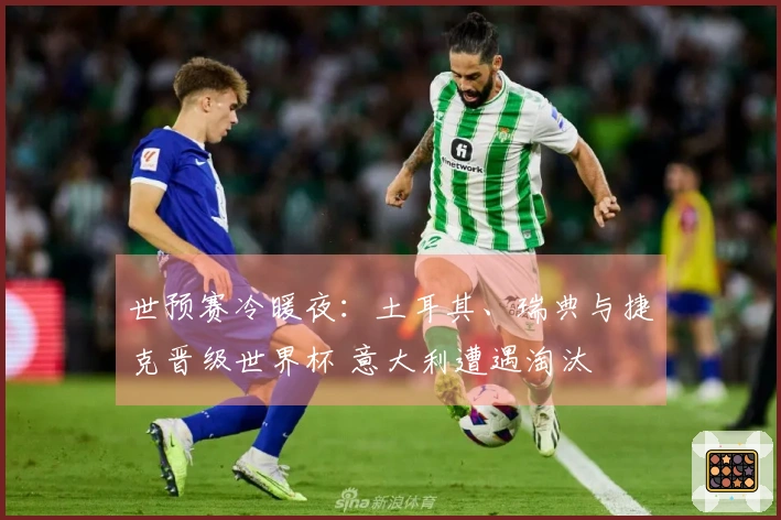 世预赛冷暖夜：土耳其、瑞典与捷克晋级世界杯 意大利遭遇淘汰